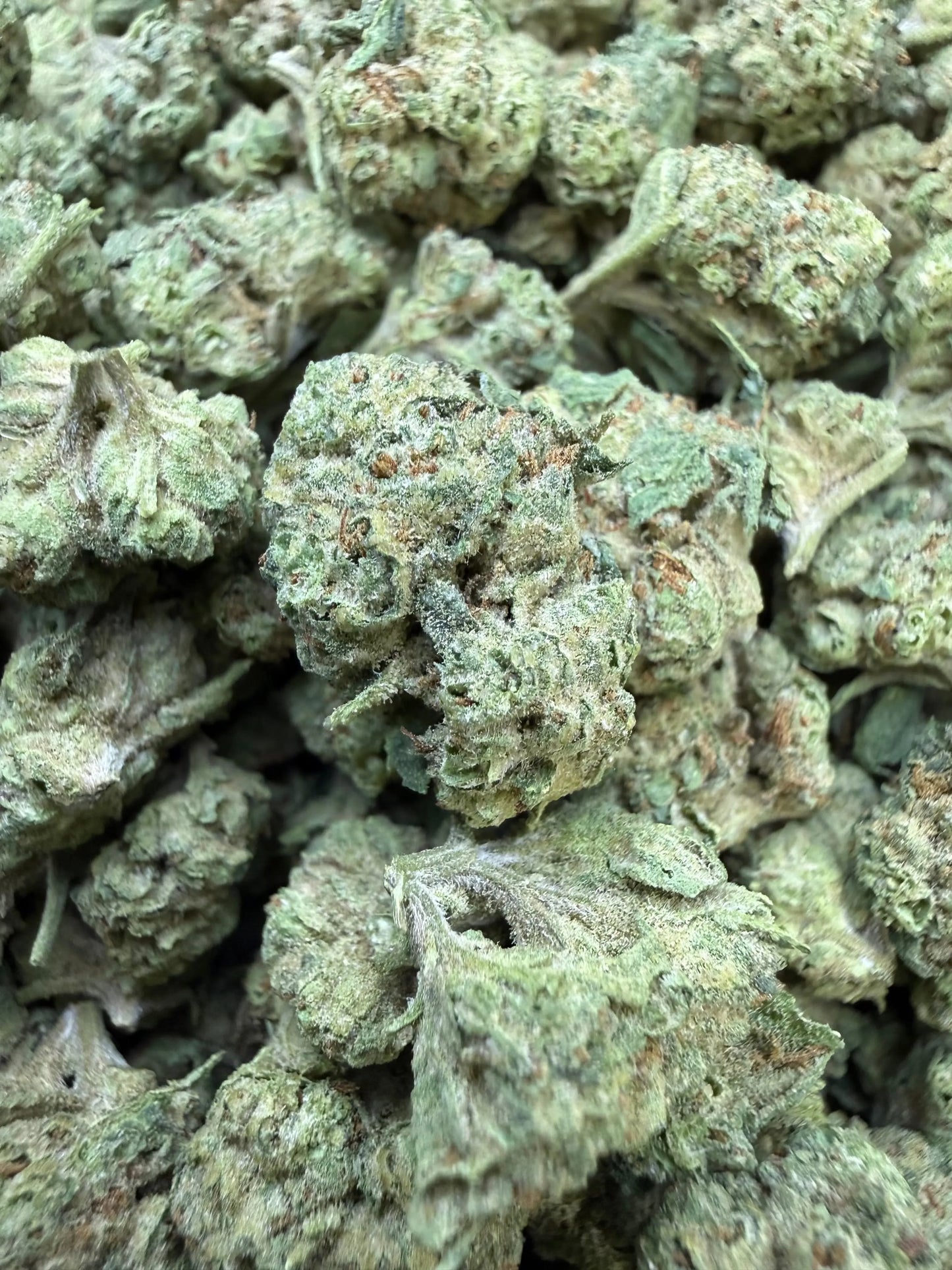 1 Pound -  Cream Push Pop Strain (Small) Frisco Labs