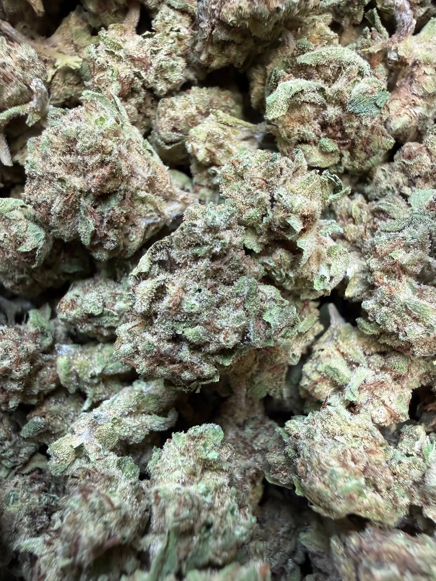 1 Pound - Custard Cream THCA Flower (Smalls)