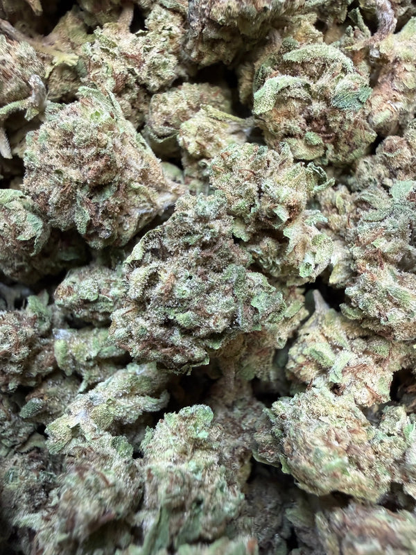 1 Pound - Custard Cream THCA Flower (Smalls)