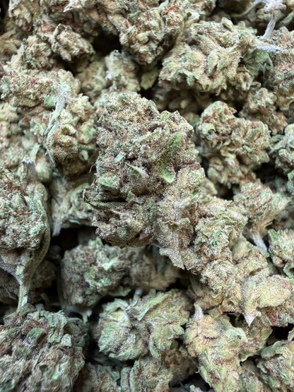 1 Pound - Custard Cream THCA Flower (Smalls)
