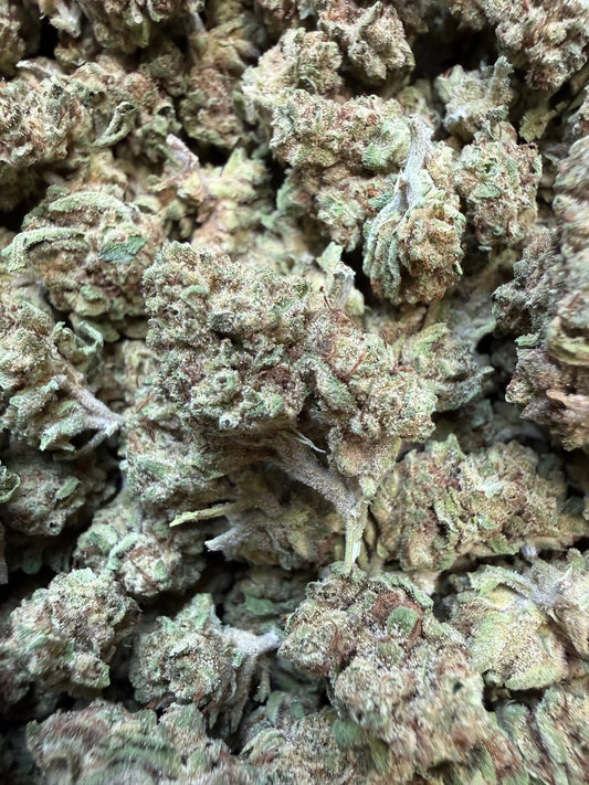 1 Pound - Custard Cream THCA Flower (Smalls)