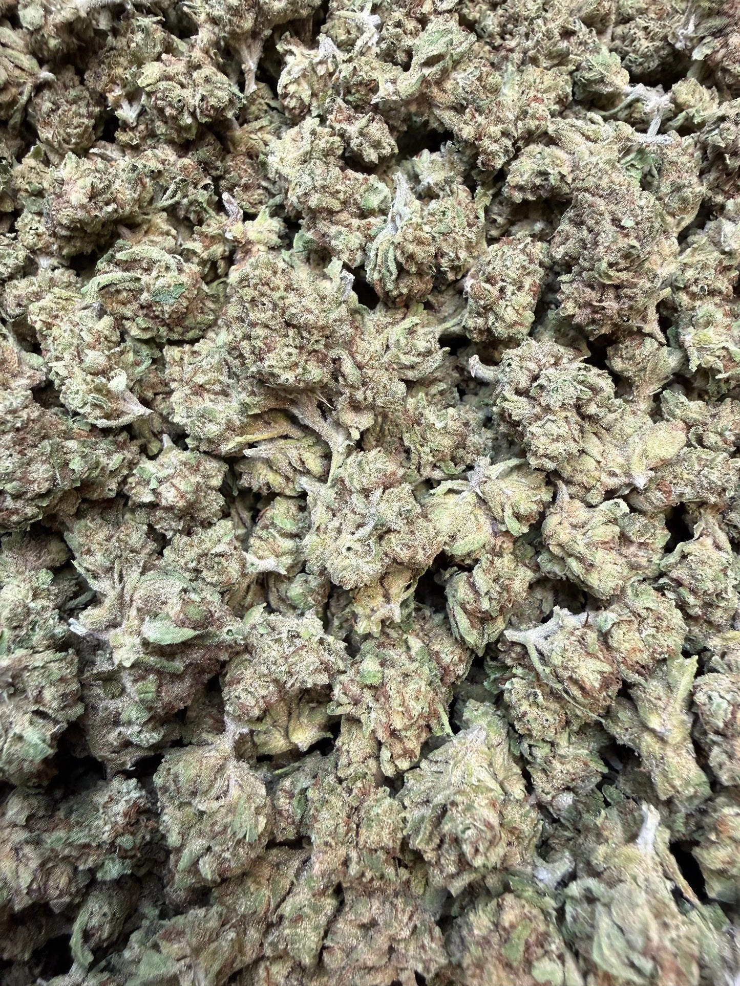 1 Pound - Custard Cream THCA Flower (Smalls)
