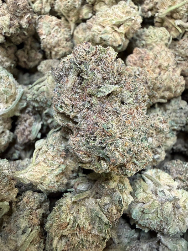 1 Pound - Cyro Cookies THCA Strain