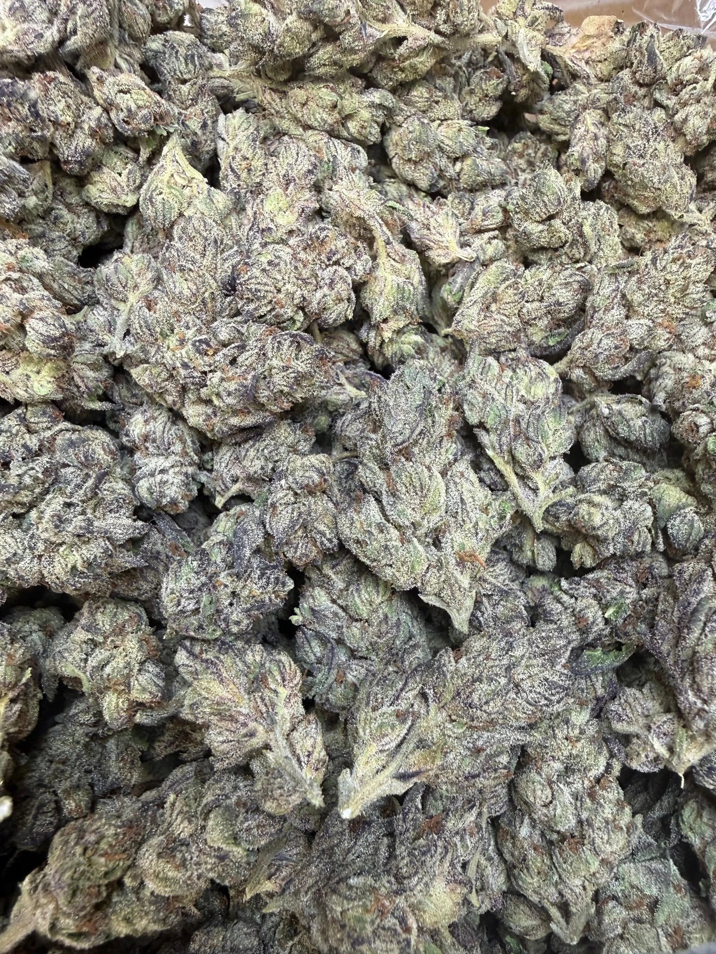 1 Pound - Deep Freeze THCA Strain Frisco Labs