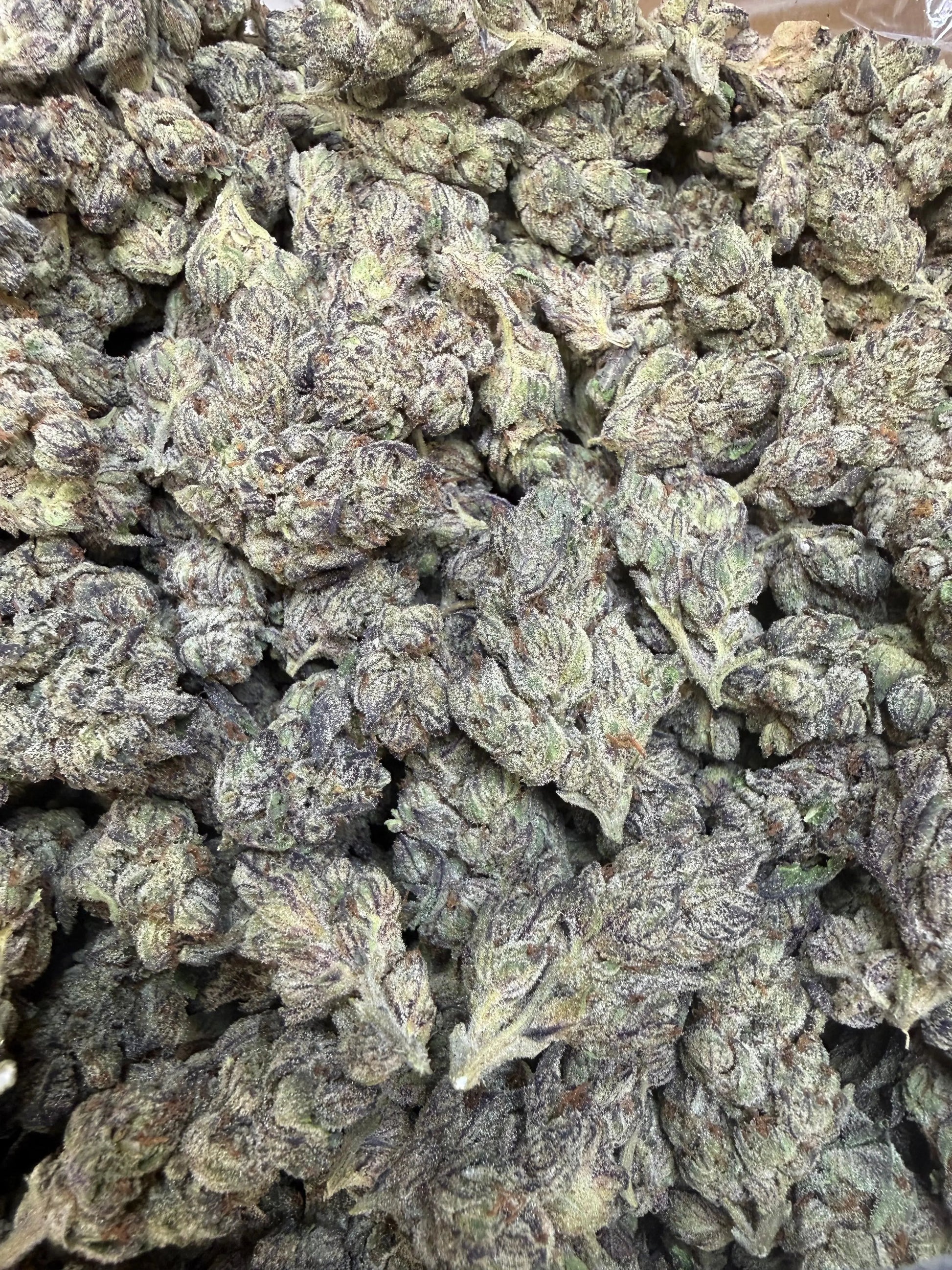 1 Pound - Deep Freeze THCA Strain Frisco Labs