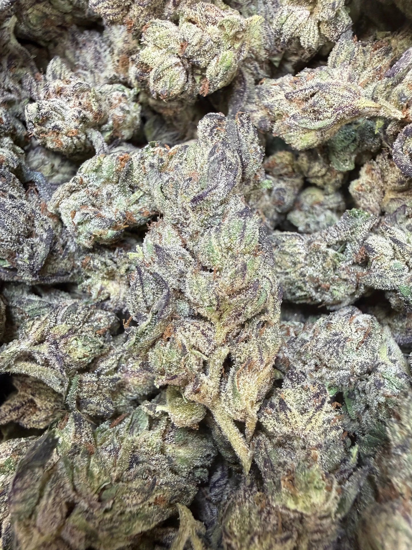 1 Pound - Deep Freeze THCA Strain Frisco Labs