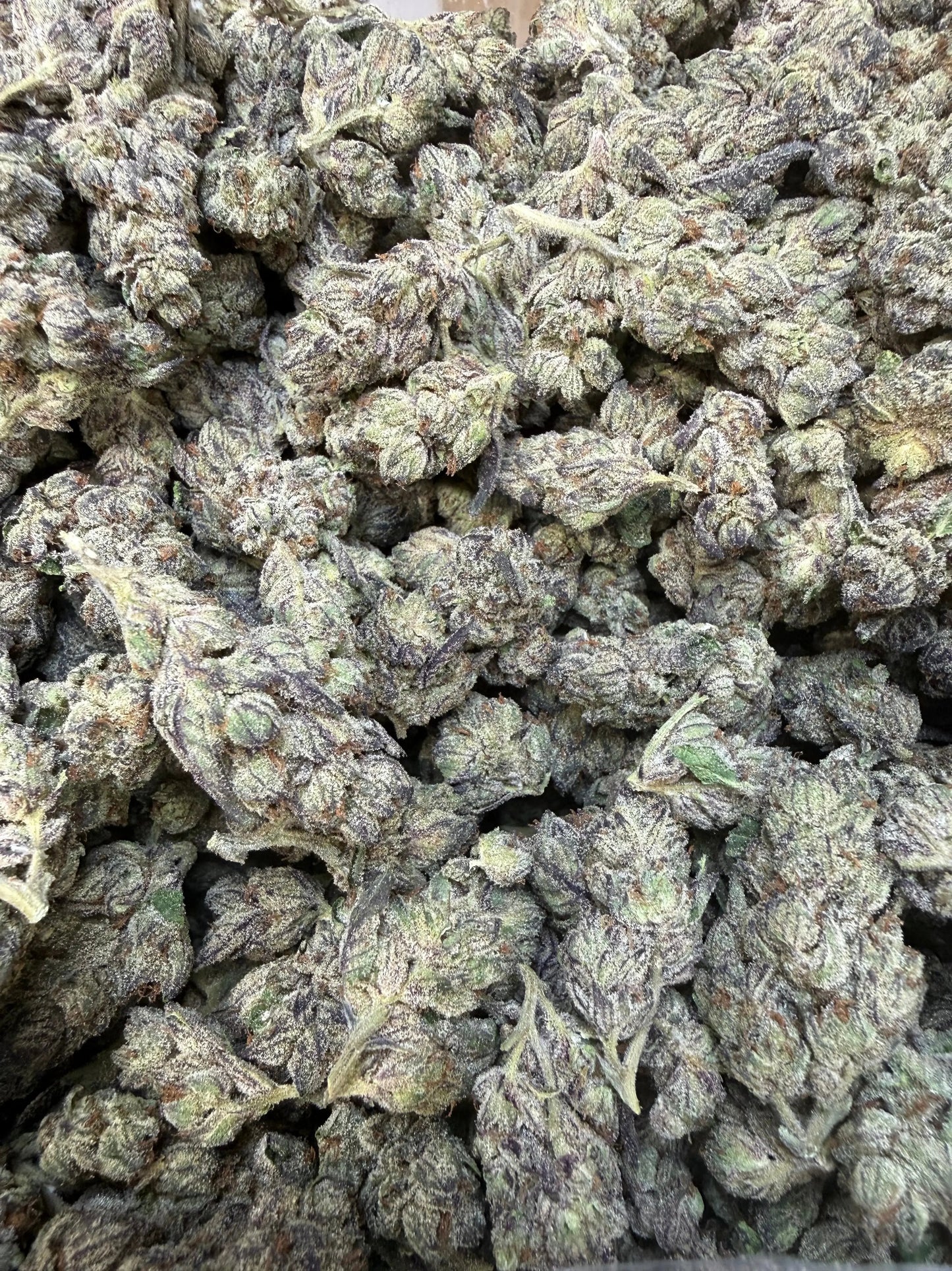 1 Pound - Deep Freeze THCA Strain Frisco Labs