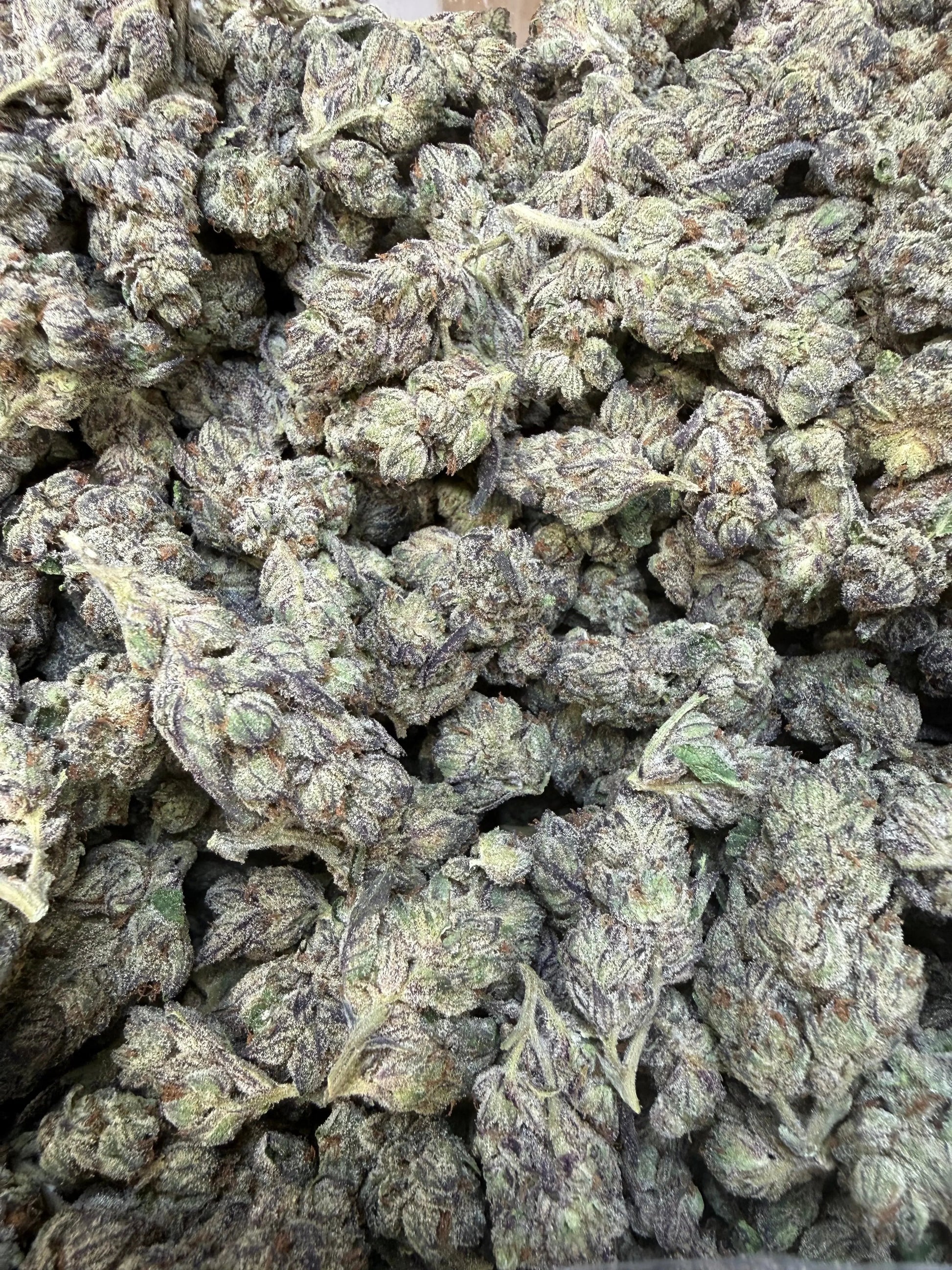 1 Pound - Deep Freeze THCA Strain Frisco Labs