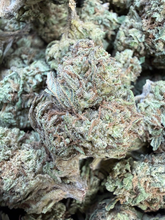 1 Pound - Double Burger THCA Strain Frisco Labs