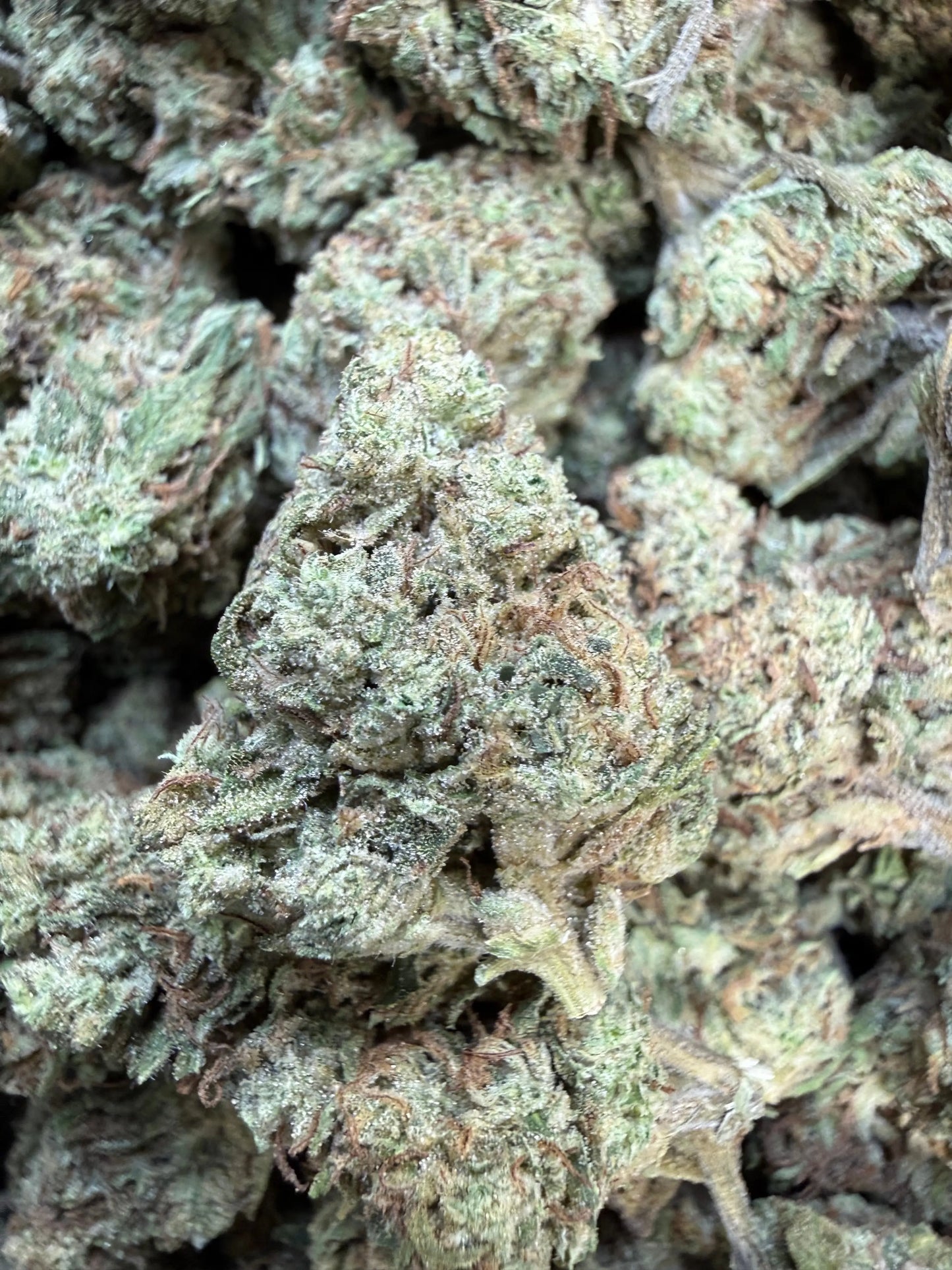 1 Pound - Double Burger THCA Strain Frisco Labs