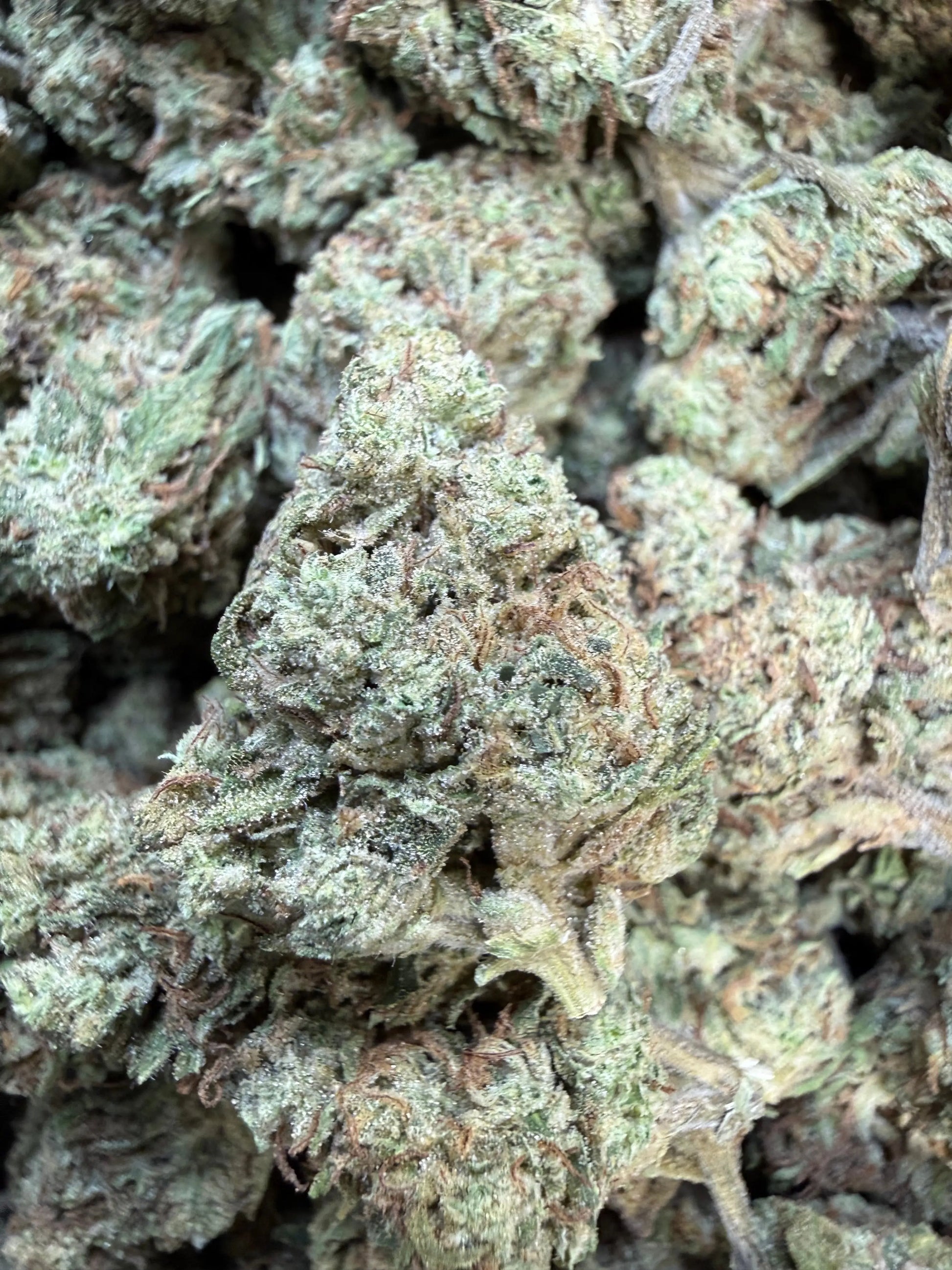 1 Pound - Double Burger THCA Strain Frisco Labs