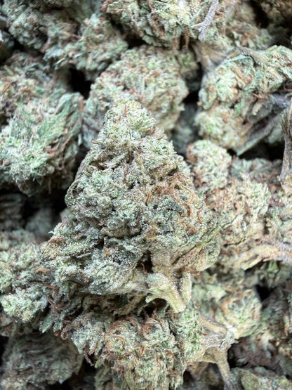 1 Pound - Double Burger THCA Strain Frisco Labs
