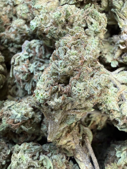 1 Pound - Double Burger THCA Strain Frisco Labs