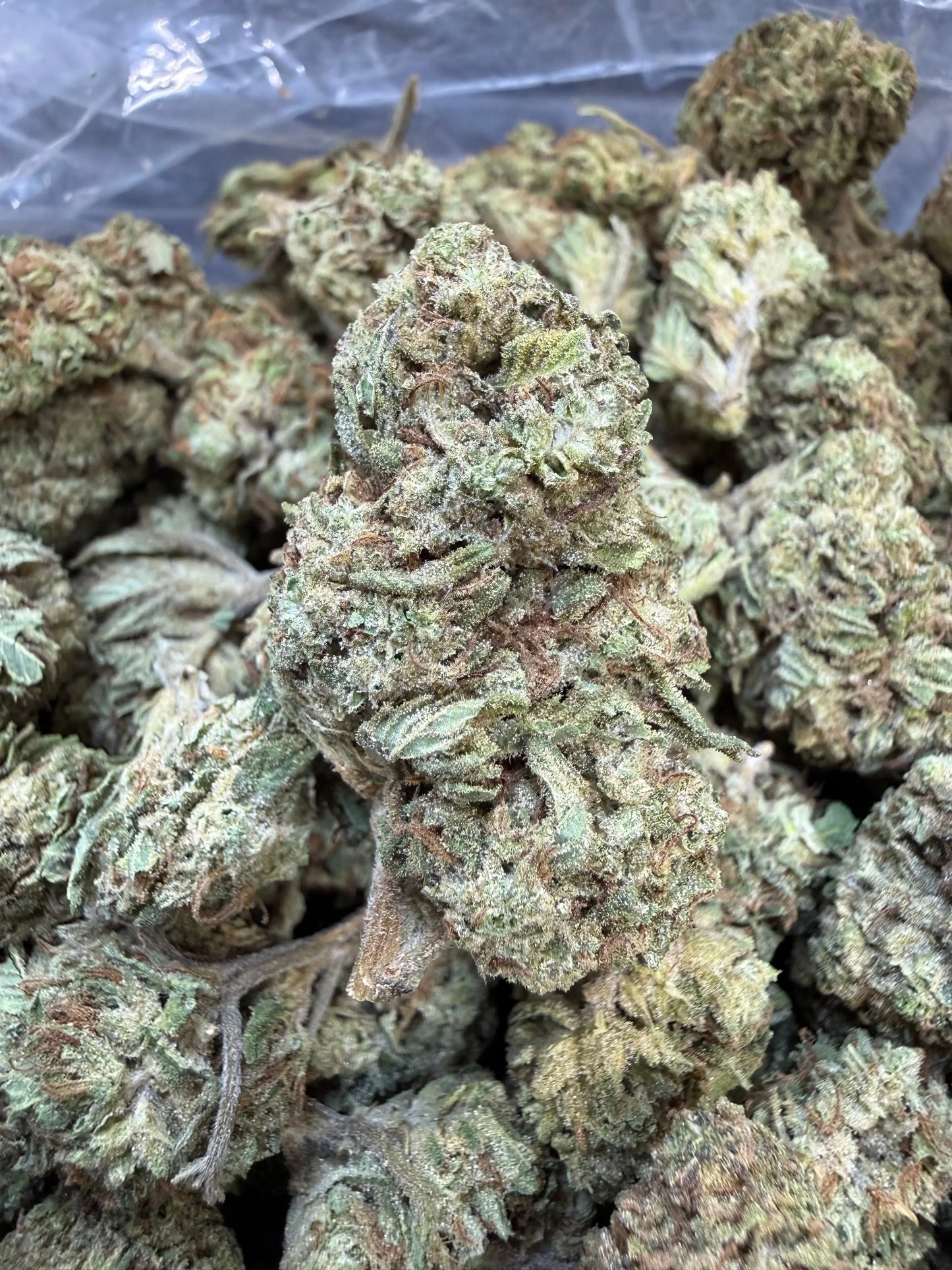 1 Pound - Double Burger THCA Strain Frisco Labs