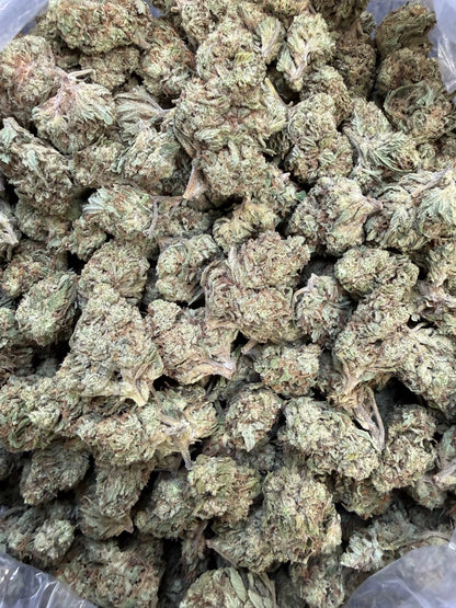 1 Pound - Double Burger THCA Strain Frisco Labs