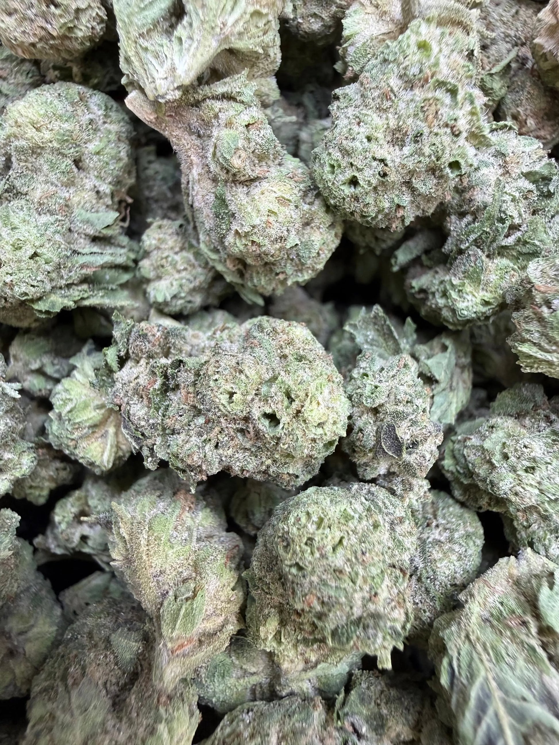 1 Pound - Double Burger THCA Strain (Small) Frisco Labs