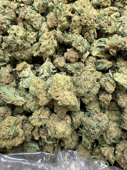 1 Pound - Double Burger THCA Strain (Small) Frisco Labs