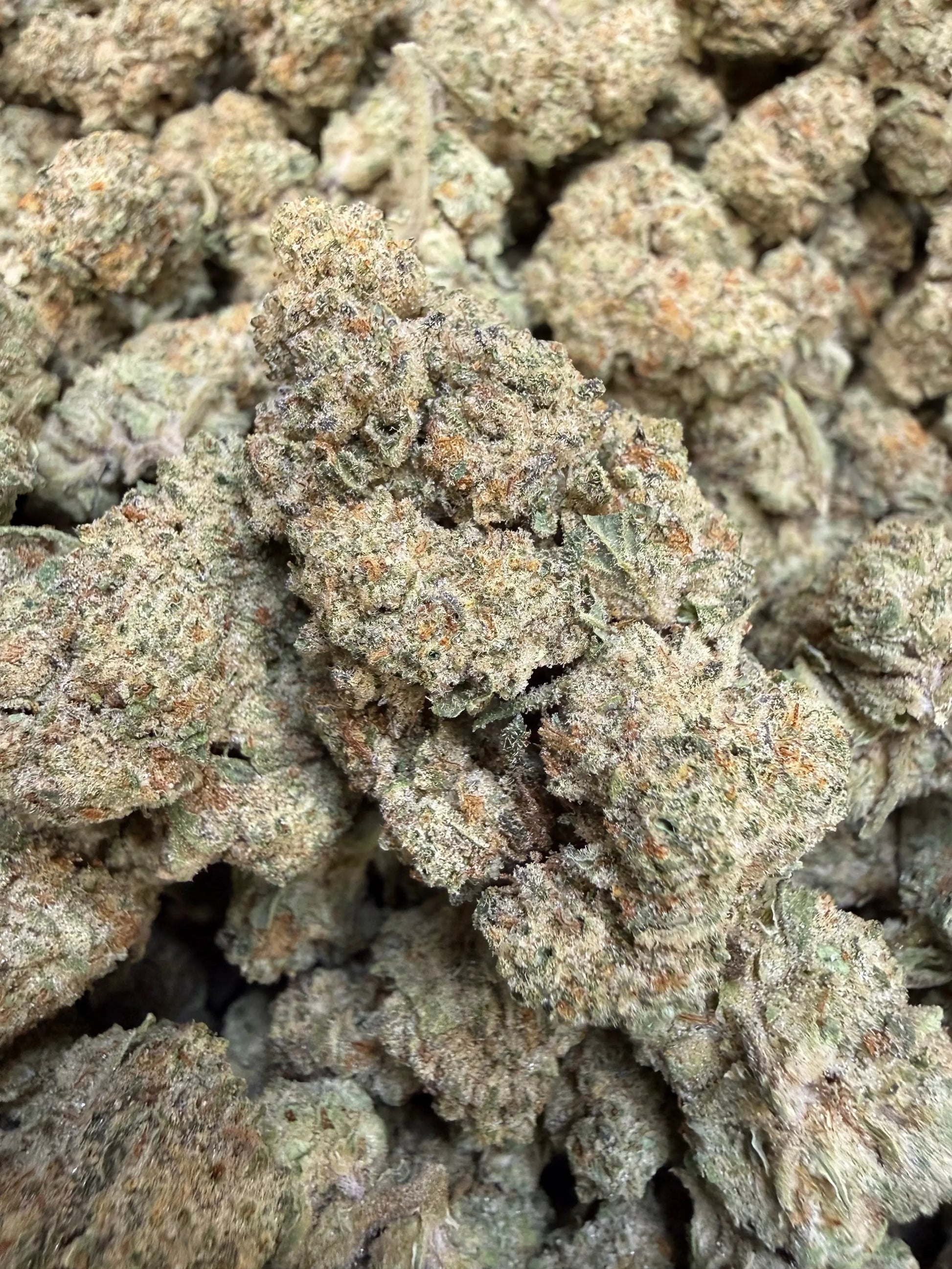 1 Pound - Dough Boy THCA Strain Frisco Labs