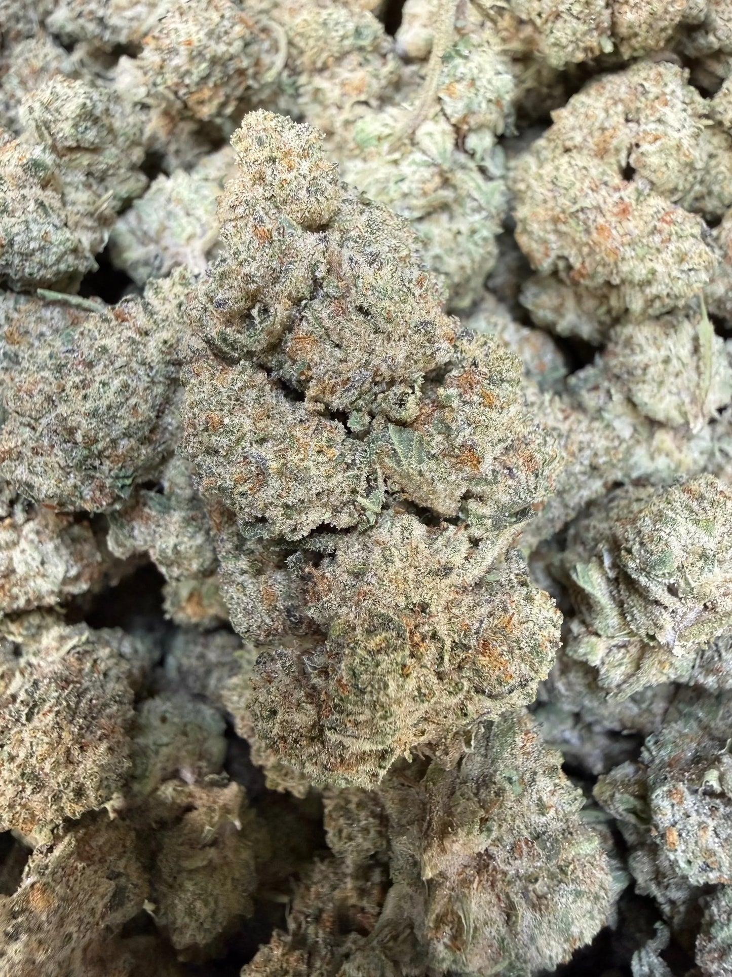 1 Pound - Dough Boy THCA Strain Frisco Labs