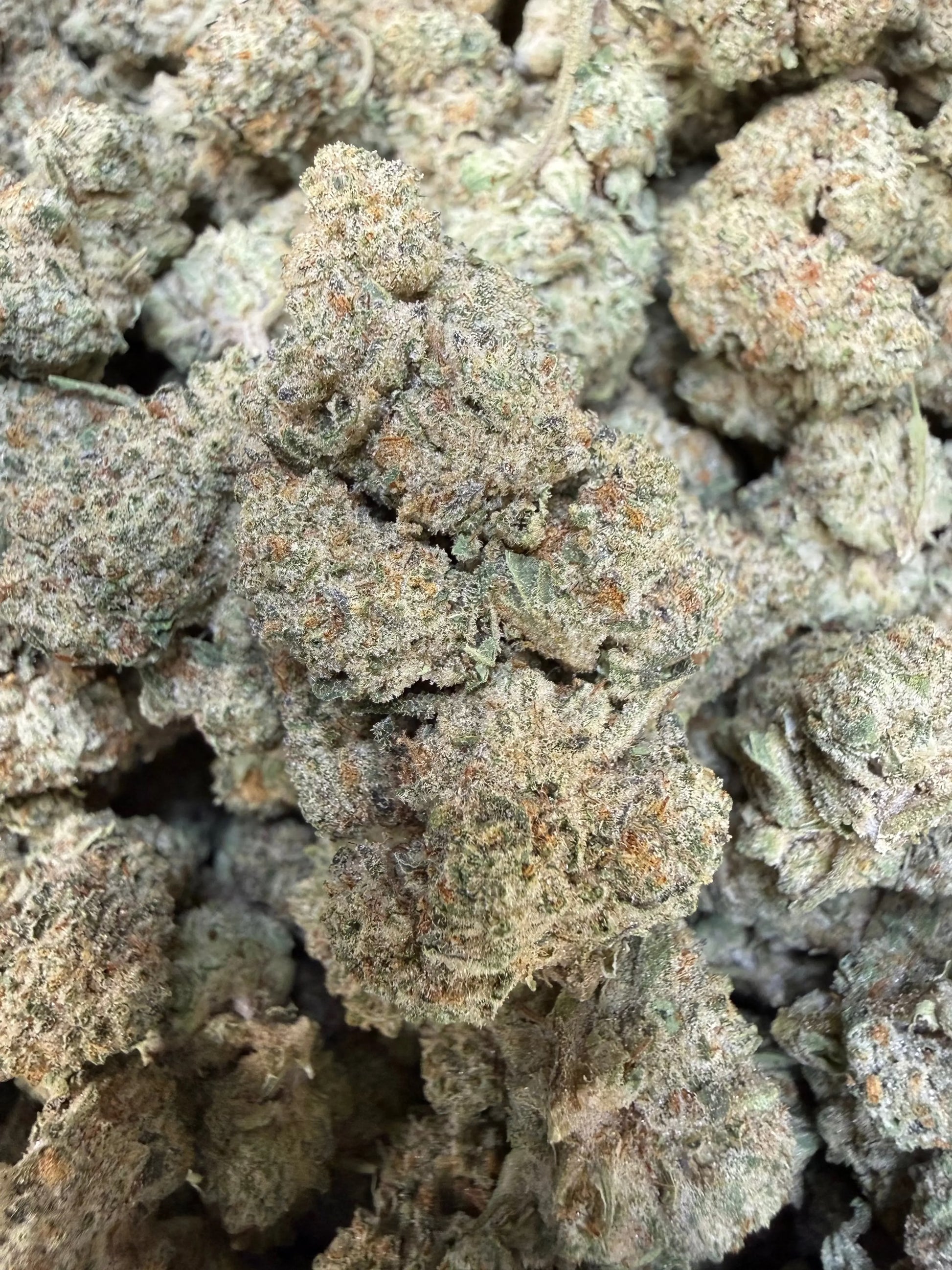 1 Pound - Dough Boy THCA Strain Frisco Labs