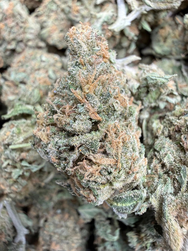 1 Pound - Dream Star THCA Strain