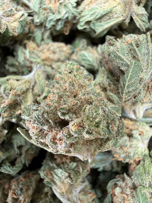 1 Pound - Dream Star THCA Strain (small) Frisco Labs