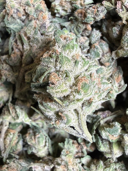 1 Pound - EggNog OG THCA Strain (Small) Frisco Labs