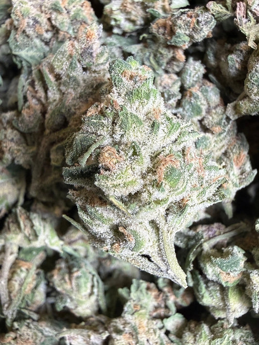 1 Pound - EggNog OG THCA Strain (Small) Frisco Labs