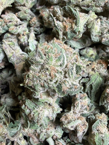 1 Pound - EggNog OG THCA Strain (Small) Frisco Labs