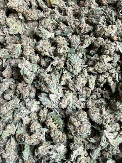 1 Pound - EggNog OG THCA Strain (Small) Frisco Labs