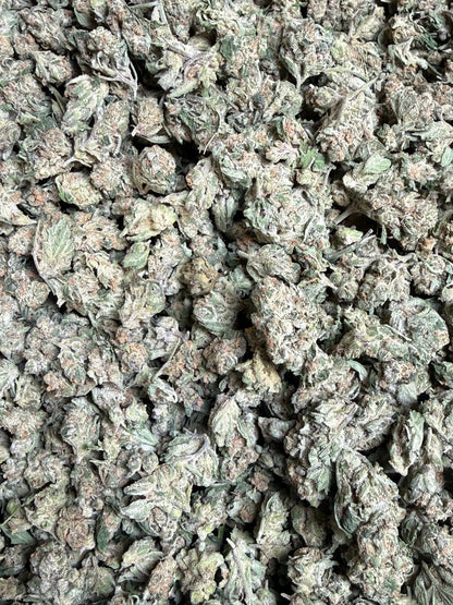1 Pound - EggNog OG THCA Strain (Small) Frisco Labs