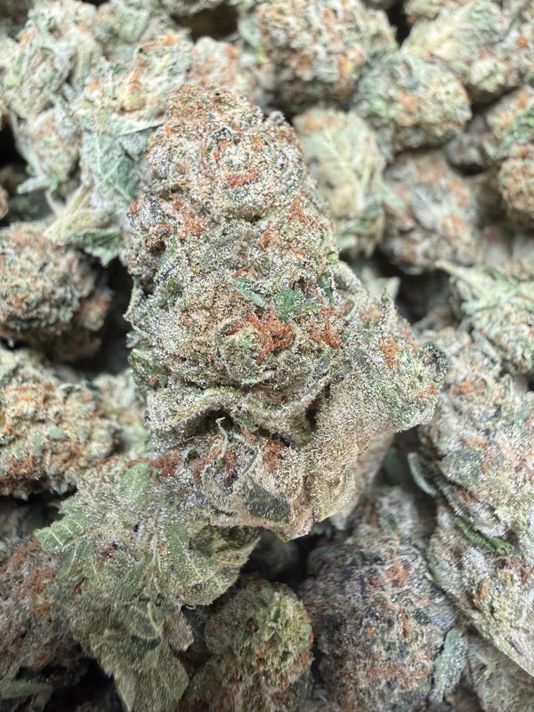 1 Pound -  Electro Lime THCA Strain