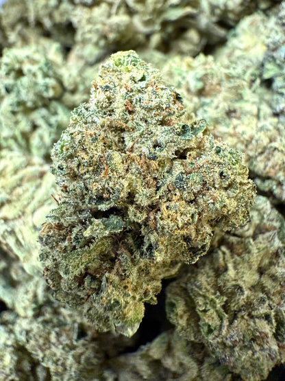 1 Pound - Exotic - Cheetah Piss THCA Strain - FL Fulfillment Center