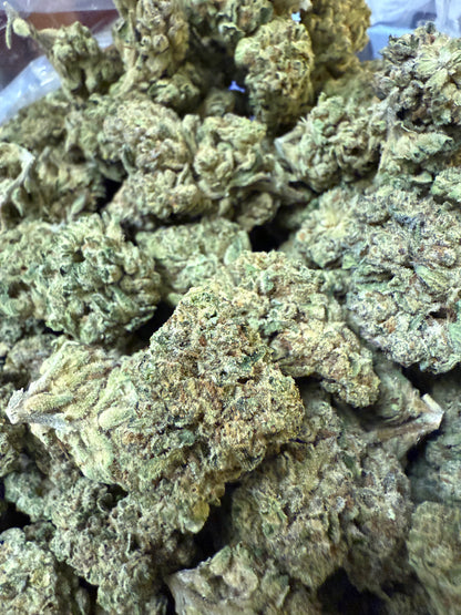 1 Pound - Exotic - Cheetah Piss THCA Strain - FL Fulfillment Center