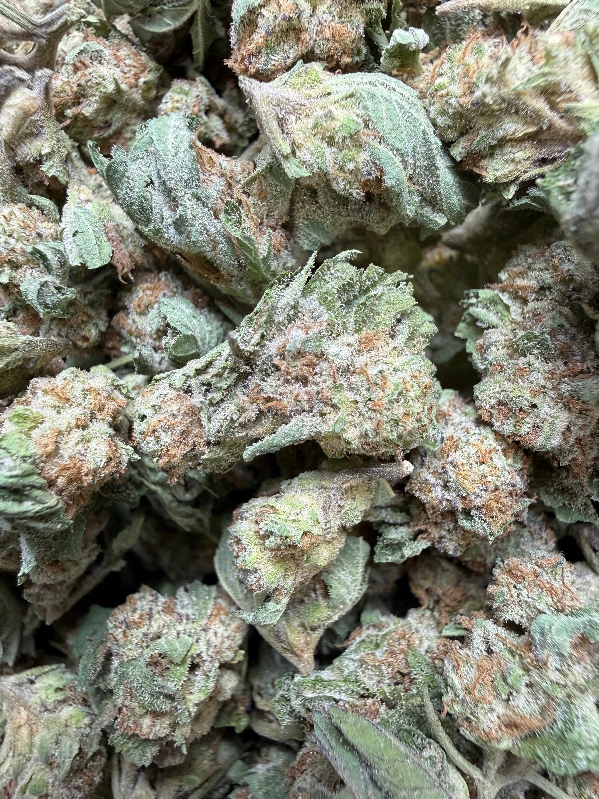 1 Pound - F1 Durb THCA Strain (Small) Frisco Labs