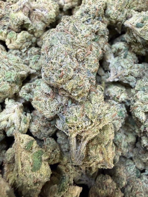 1 Pound - Velvet Currency THCA Strain