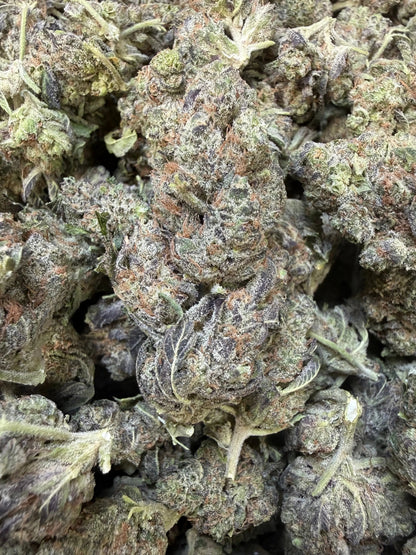 1 Pound - Federal Frost THCA Strain Frisco Labs