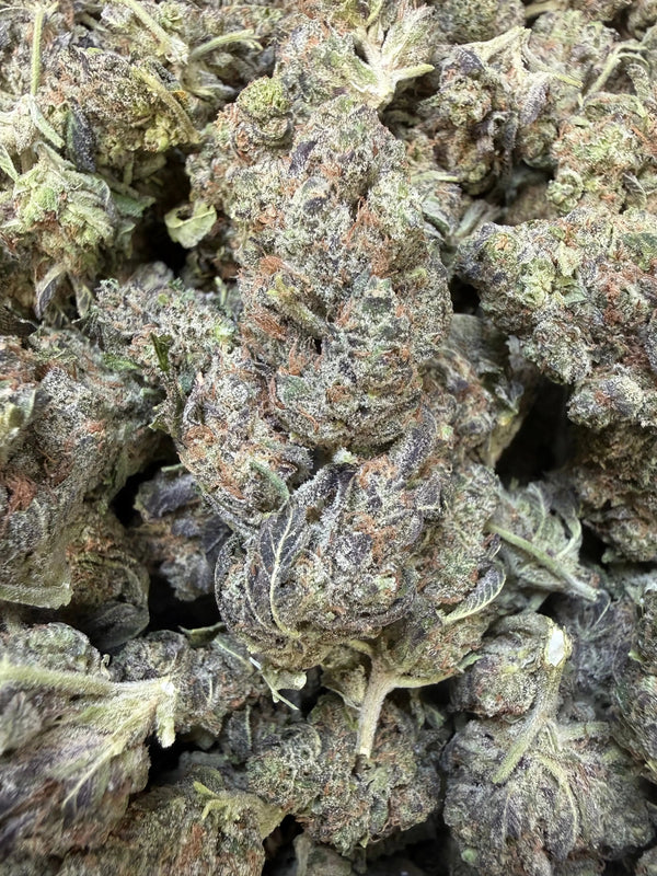 1 Pound - Federal Frost THCA Strain