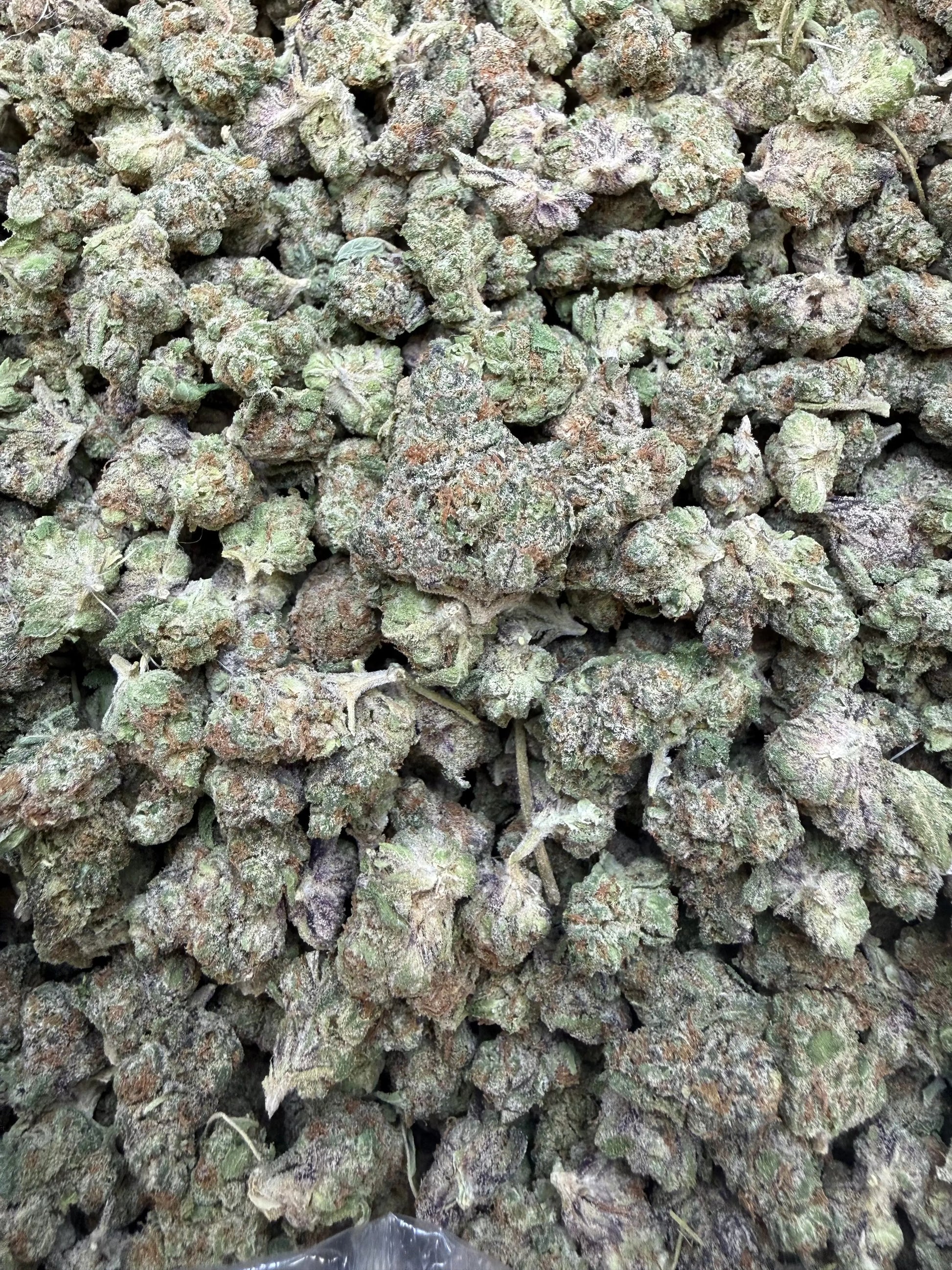 1 Pound - Frosted Fruit Cake THCA Strain (Smalls) Frisco Labs