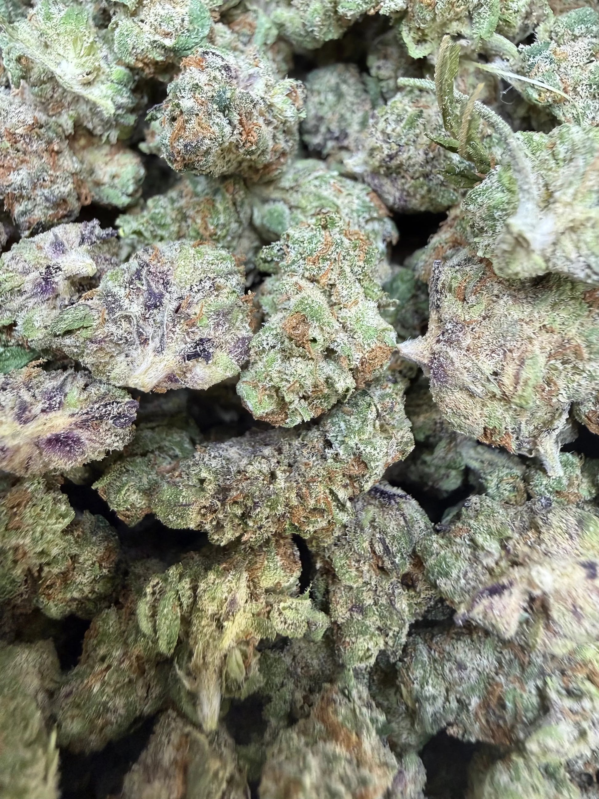 1 Pound - Frosted Fruit Cake THCA Strain (Smalls) Frisco Labs