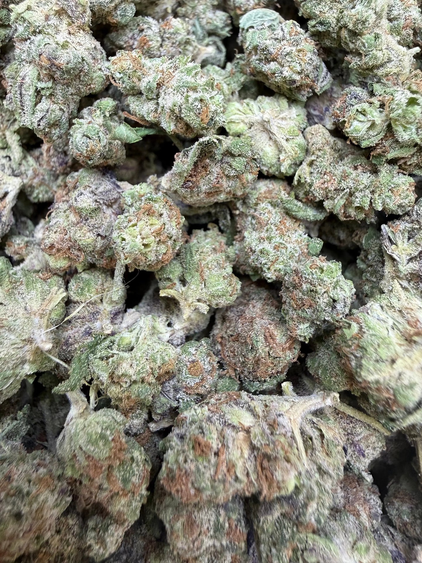 1 Pound - Frosted Fruit Cake THCA Strain (Smalls) Frisco Labs