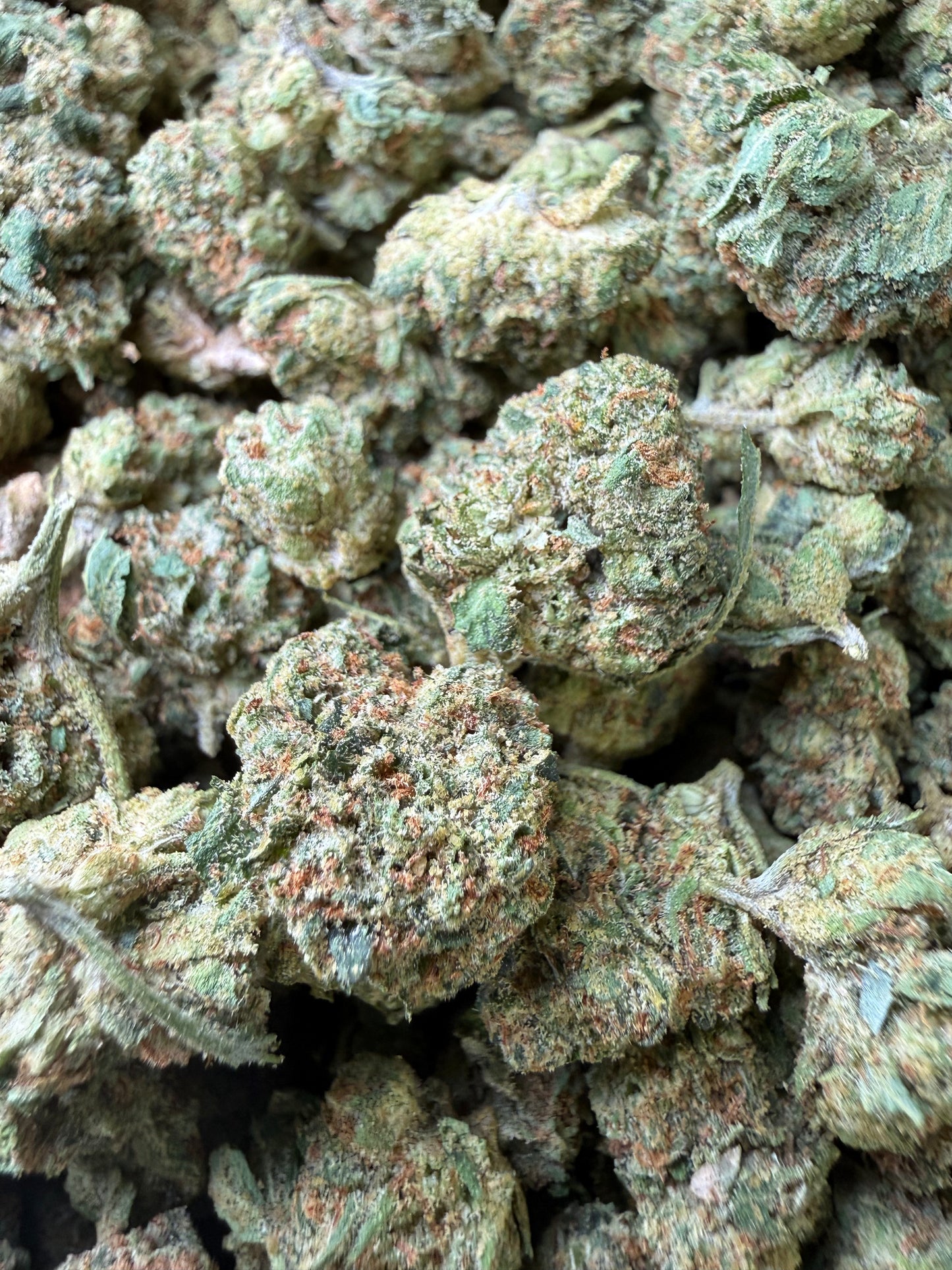 1 Pound - Frozen Lemons THCA Strain (Smalls) Frisco Labs