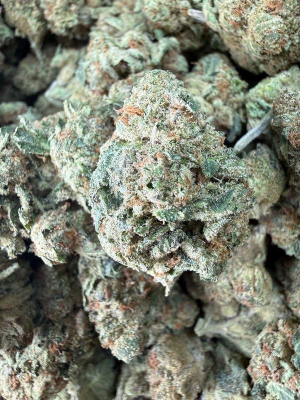 1 Pound - Fruity Pebbles OG THCA Strain