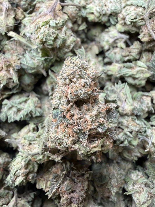 1 Pound - Fuel OG THCA Flower (Small)