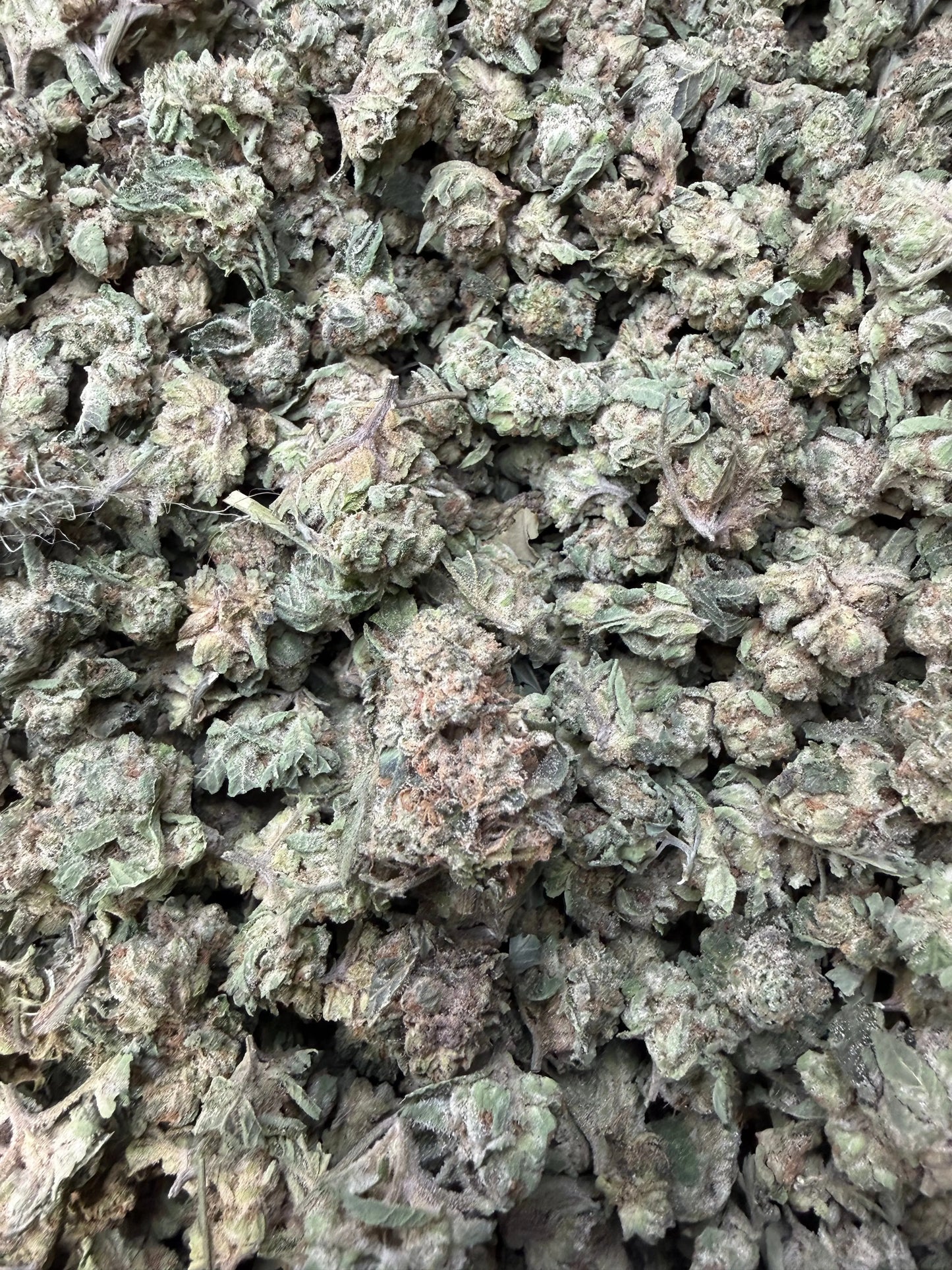 1 Pound - Fuel OG THCA Flower (Small)
