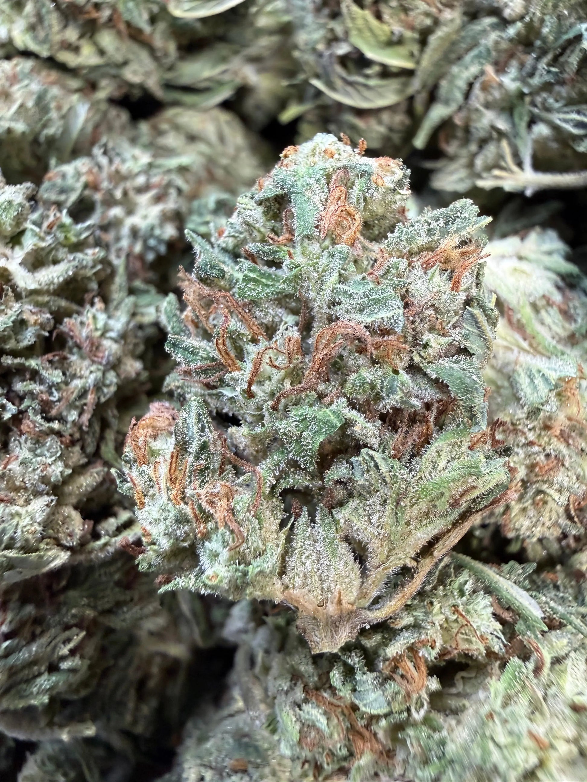 1 Pound - Fuel OG THCA Strain Frisco Labs