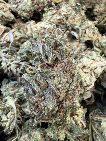 1 Pound - Fuel OG THCA Strain Frisco Labs