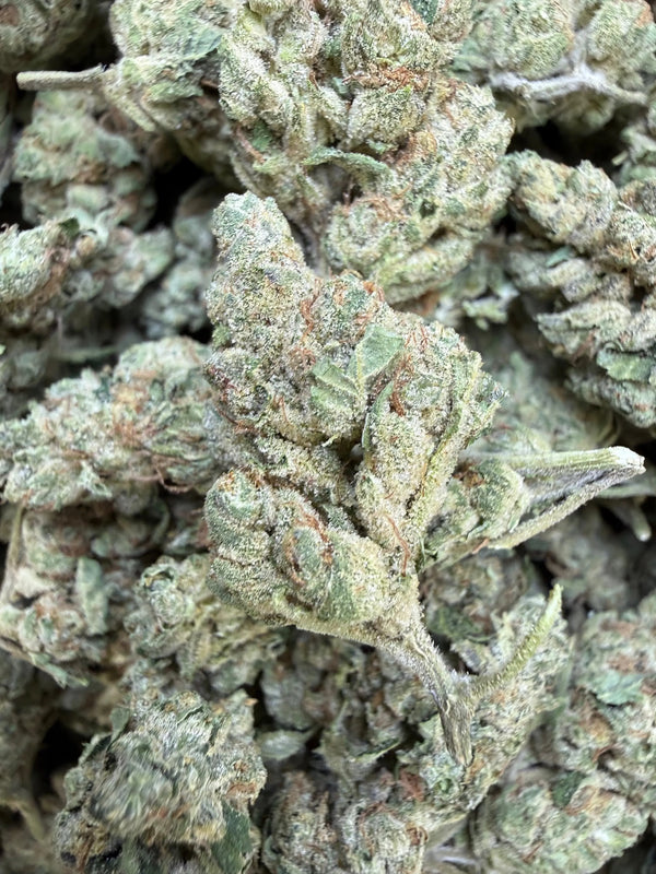 1 Pound - Gary Payton Runtz THCA Strain