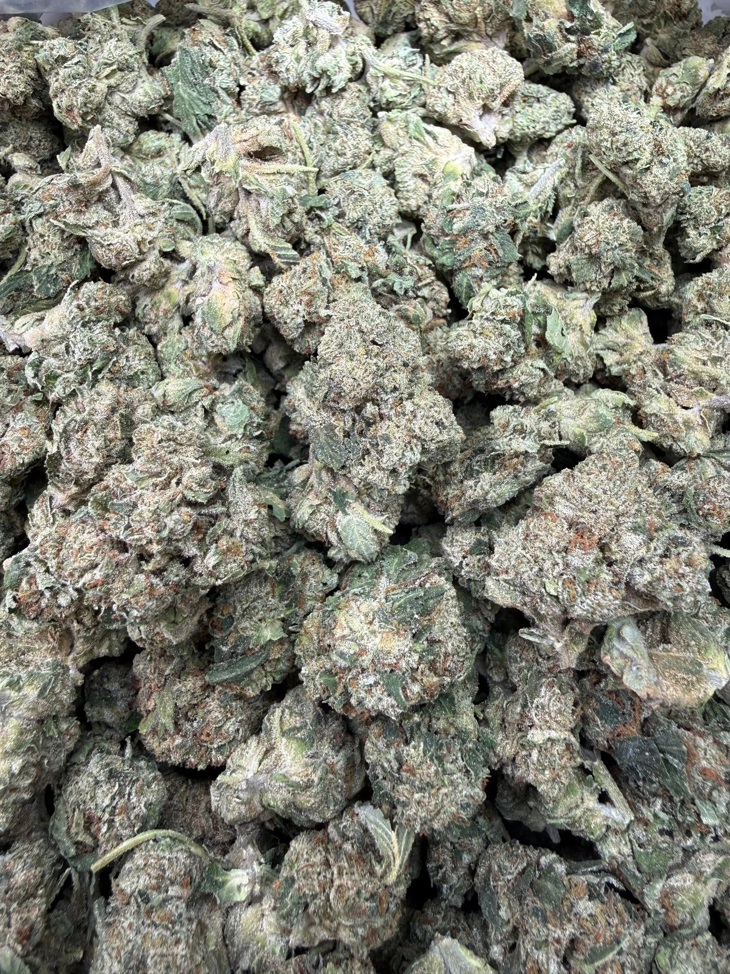 1 Pound - Gas Bandit THCA Strain Frisco Labs