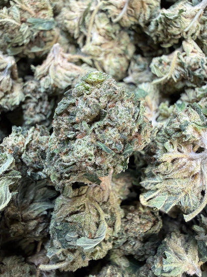 1 Pound - Gas Bandit THCA Strain Frisco Labs